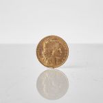 1338 5661 GOLD COIN